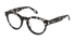 VJC016 Just Cavalli® / Black Havana(0809) / 50-22-145