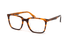 VPLG73 Police® / Tortoise(0836) / 53-19-145