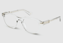 VPLG81 Police® / Transparent Yellow(0M78) / 50-22-145