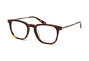 VPLL66M Police / Polished Havana(0C10) / 50-21-145