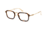 VPLL73M Police / Havana/Gold(300Y) / 50-21-145