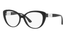 0AX3093 Armani Exchange / Shiny Black (8158) / 54-16-140