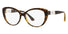 0AX3093 Armani Exchange / Shiny Havana (8213) / 54-16-140