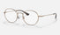 0RB6369D Ray-Ban® / Brown (2886) / 50-20-145