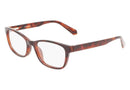 CKJ22622 Calvin Klein Jeans / Tortoise (240) / 51-17-140