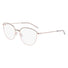 DK1027-DKNY / Slate Sage/Rose Gold (310) / 53-17-135