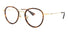 GG0608OK Gucci / Havana/Gold(004) / 49-21-145