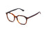 GG0932OA Gucci / Havana/Blue Red Stripe(002) / 53-18-145