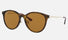 RB 4334D Ray-Ban® / Tortoise/Gold/Brown-Classic/Polarized (710/83) / 55-19-145