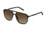 SFI312 Fila® / Transparent Green/Brown Gradient Polarized(Z51P) / 57-17-145