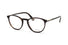 VPLD12N Police® / Shiny Havana (722Y) / 50-19-145